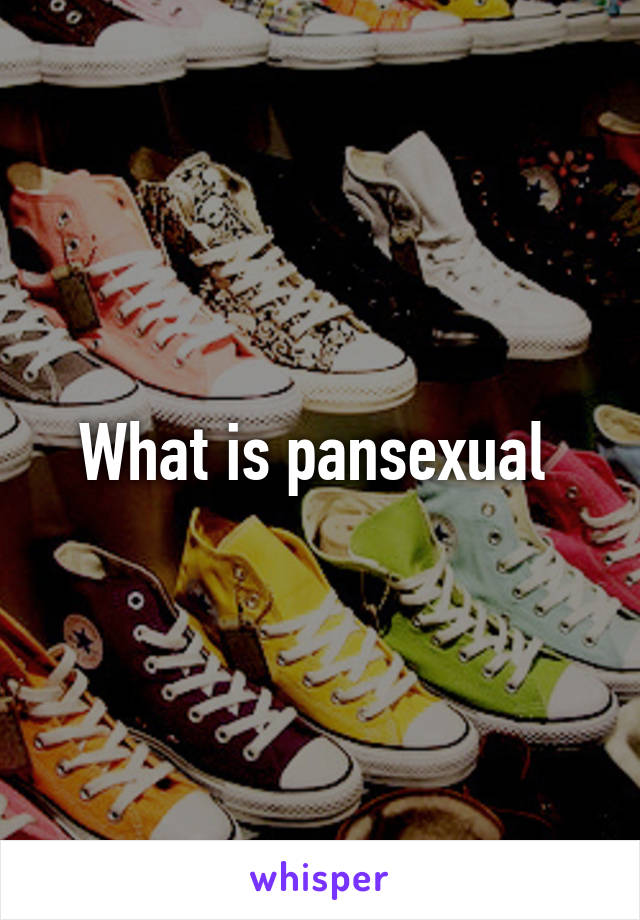 What is pansexual 