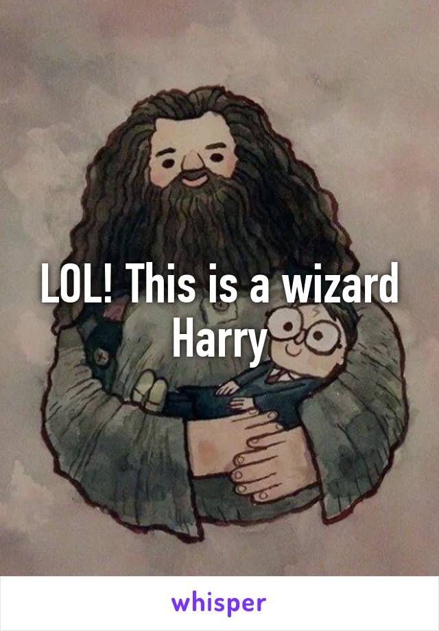 LOL! This is a wizard Harry