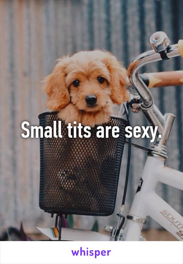 Small tits are sexy.