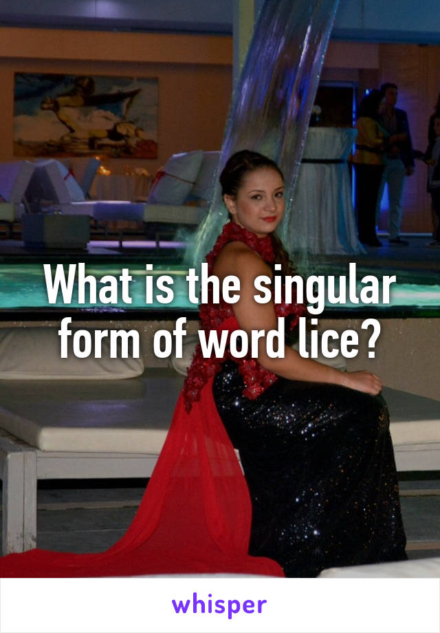 What is the singular form of word lice?