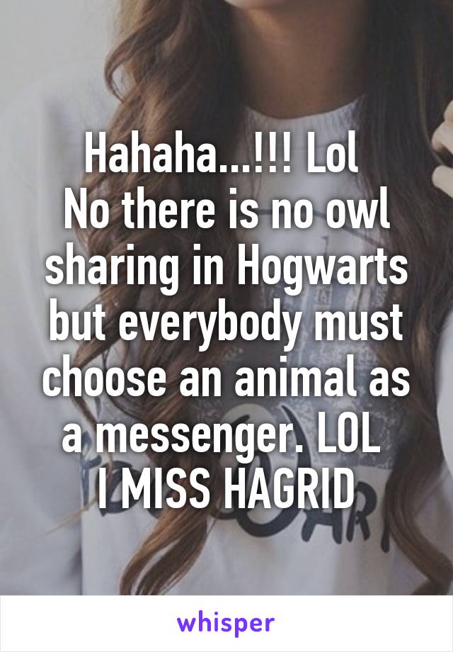 Hahaha...!!! Lol 
No there is no owl sharing in Hogwarts but everybody must choose an animal as a messenger. LOL 
I MISS HAGRID