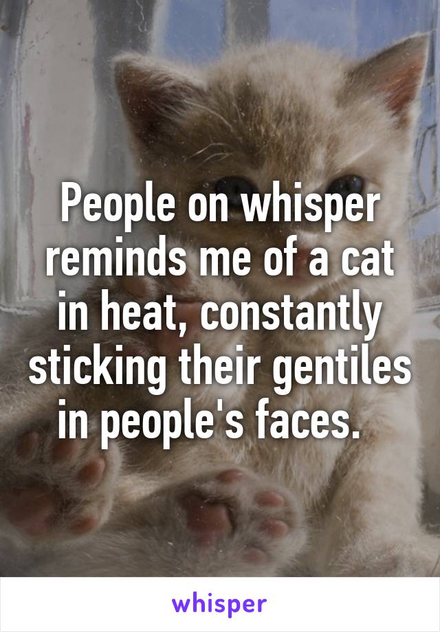 People on whisper reminds me of a cat in heat, constantly sticking their gentiles in people's faces.  