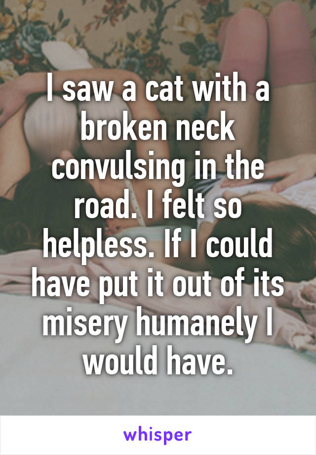 I saw a cat with a broken neck convulsing in the road. I felt so helpless. If I could have put it out of its misery humanely I would have.