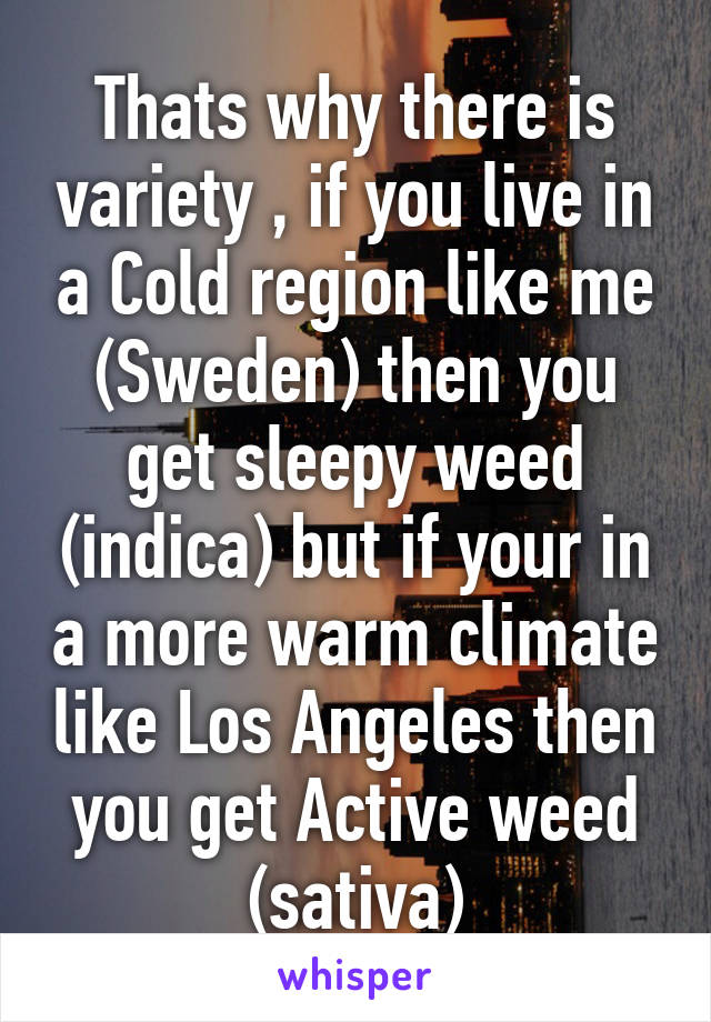 Thats why there is variety , if you live in a Cold region like me (Sweden) then you get sleepy weed (indica) but if your in a more warm climate like Los Angeles then you get Active weed (sativa)