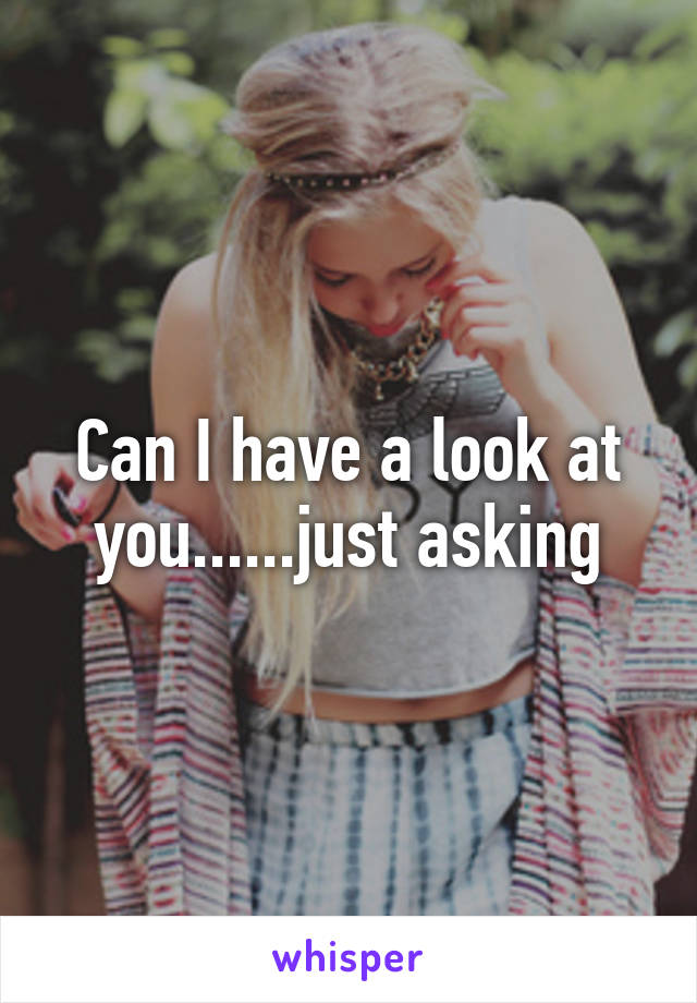 Can I have a look at you......just asking