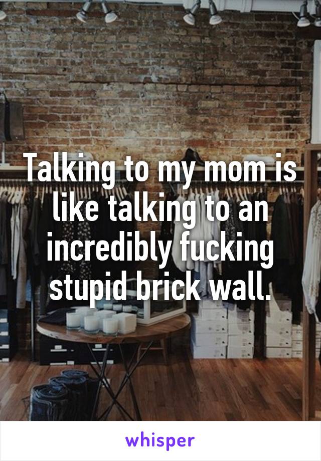 Talking to my mom is like talking to an incredibly fucking stupid brick wall.