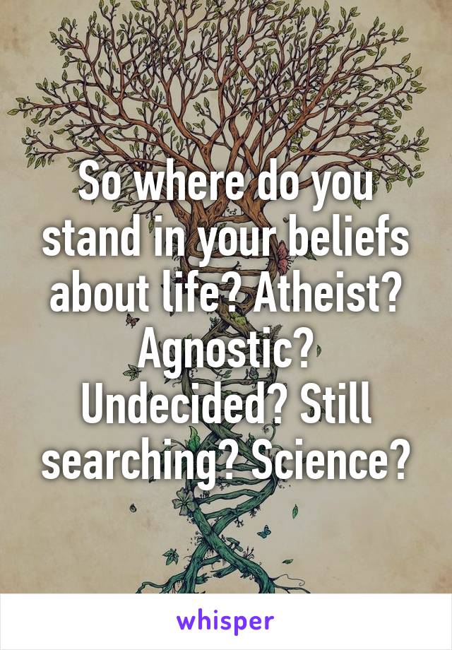 So where do you stand in your beliefs about life? Atheist? Agnostic? Undecided? Still searching? Science?