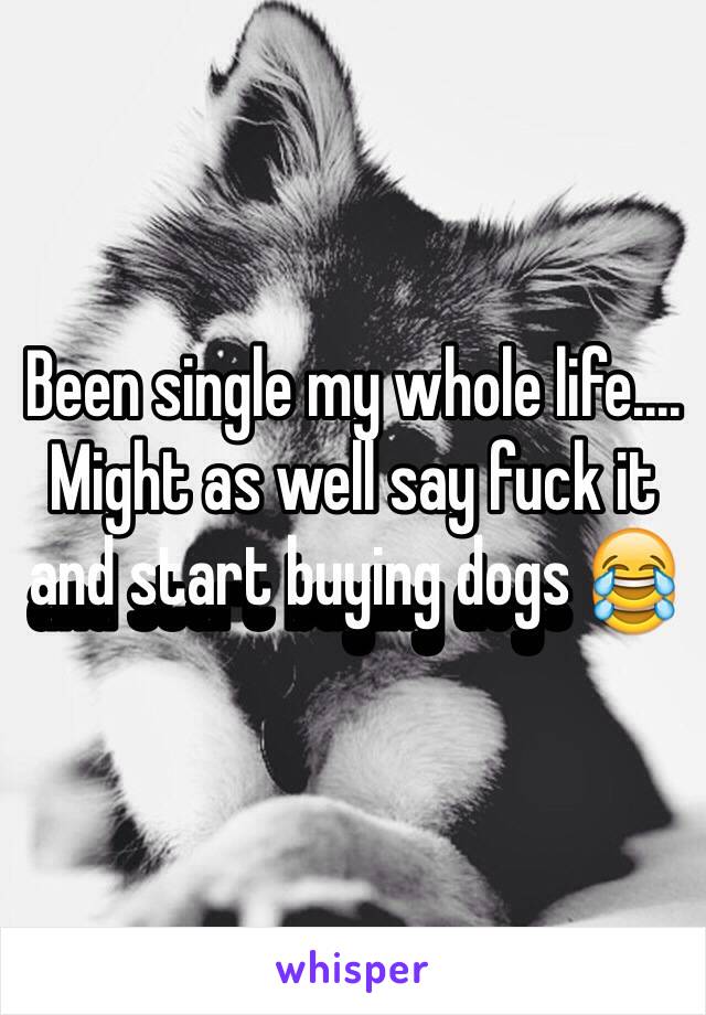 Been single my whole life.... Might as well say fuck it and start buying dogs 😂