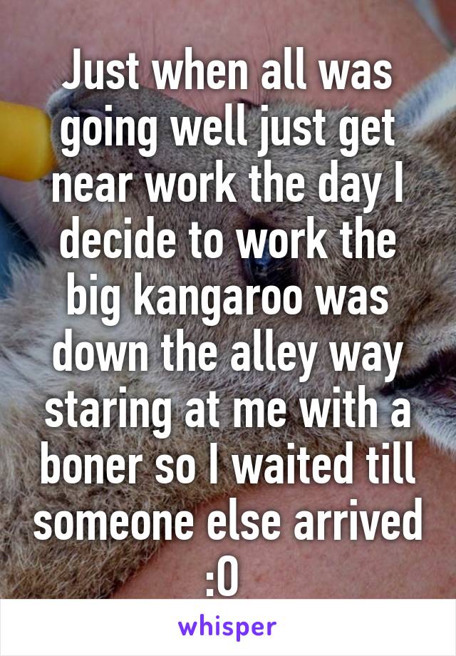 Just when all was going well just get near work the day I decide to work the big kangaroo was down the alley way staring at me with a boner so I waited till someone else arrived :O 