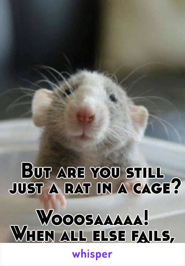 But are you still just a rat in a cage? 
Wooosaaaaa!
When all else fails, Marijuana ♡