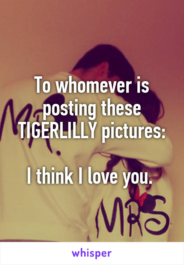 To whomever is posting these TIGERLILLY pictures:

I think I love you. 