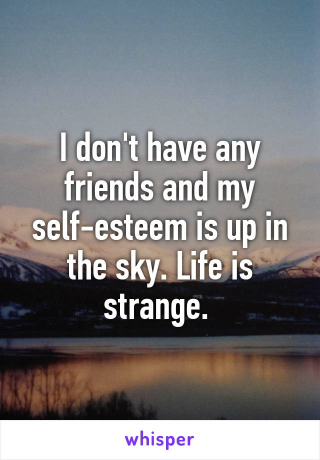 I don't have any friends and my self-esteem is up in the sky. Life is strange. 