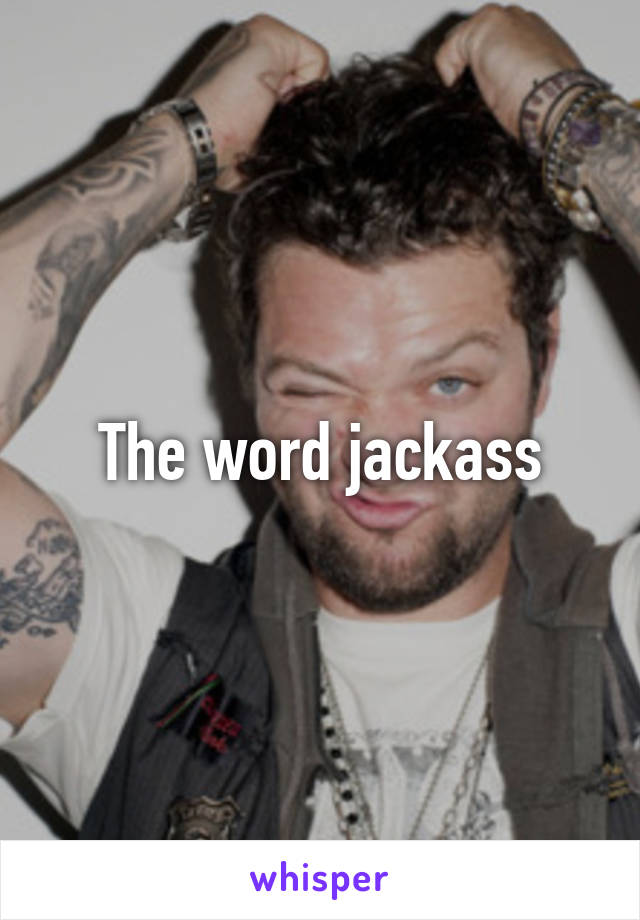 The word jackass