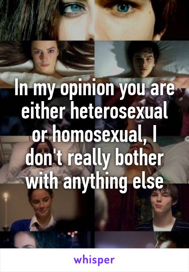 In my opinion you are either heterosexual or homosexual, I don't really bother with anything else