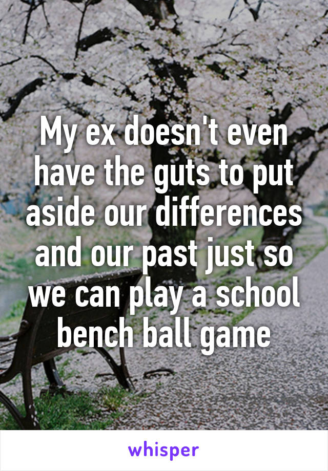 My ex doesn't even have the guts to put aside our differences and our past just so we can play a school bench ball game