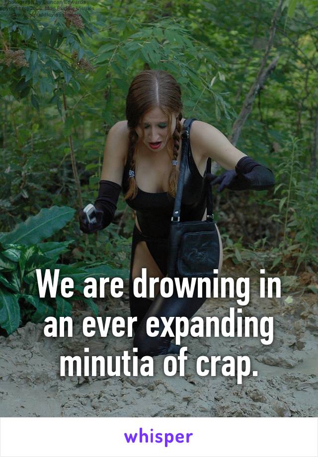 





We are drowning in an ever expanding minutia of crap.
