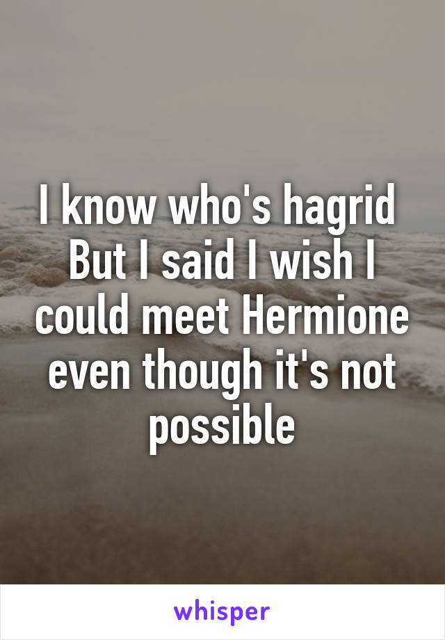 I know who's hagrid 
But I said I wish I could meet Hermione even though it's not possible