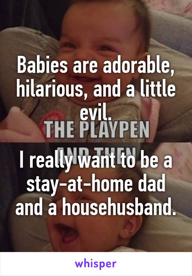 Babies are adorable, hilarious, and a little evil.

I really want to be a stay-at-home dad and a househusband.