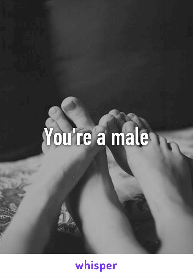 You're a male