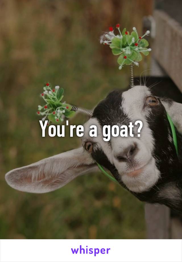 You're a goat?