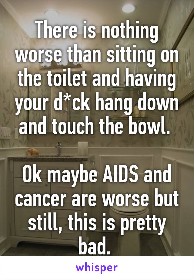 There is nothing worse than sitting on the toilet and having your d*ck hang down and touch the bowl. 

Ok maybe AIDS and cancer are worse but still, this is pretty bad. 