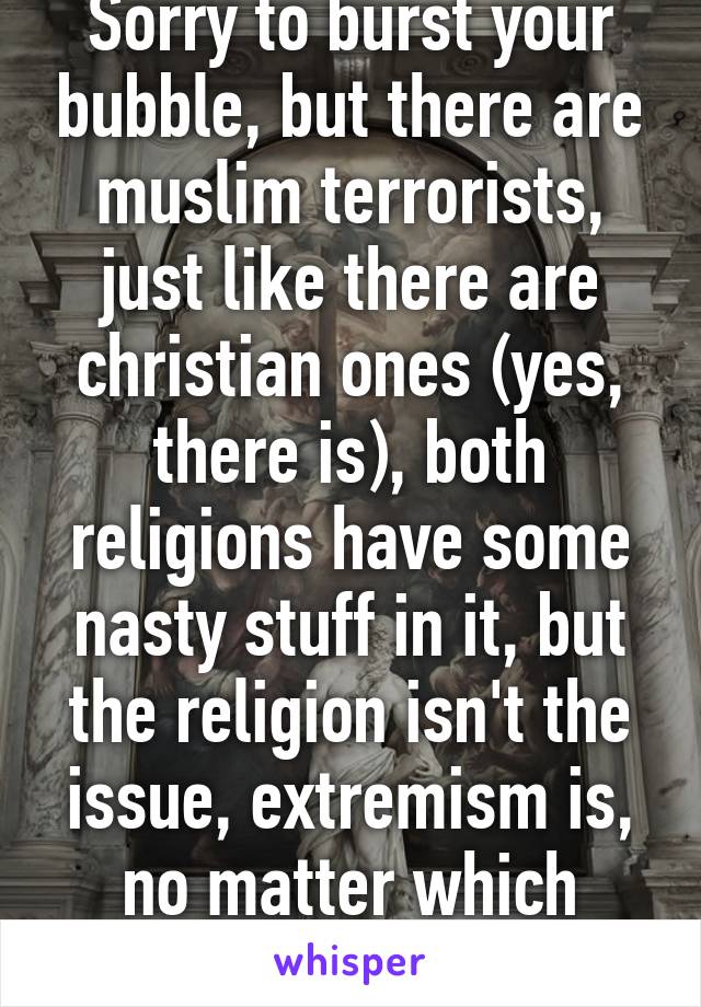 Sorry to burst your bubble, but there are muslim terrorists, just like there are christian ones (yes, there is), both religions have some nasty stuff in it, but the religion isn't the issue, extremism is, no matter which religion it is