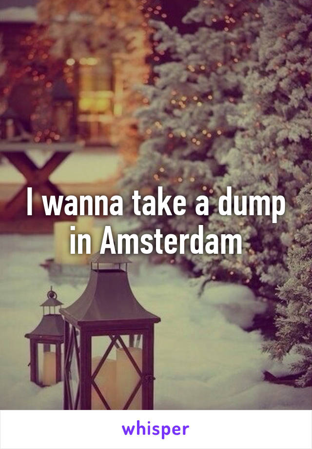 I wanna take a dump in Amsterdam