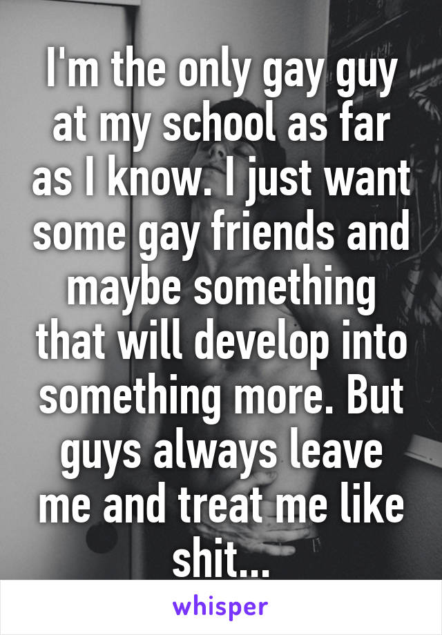 I'm the only gay guy at my school as far as I know. I just want some gay friends and maybe something that will develop into something more. But guys always leave me and treat me like shit...