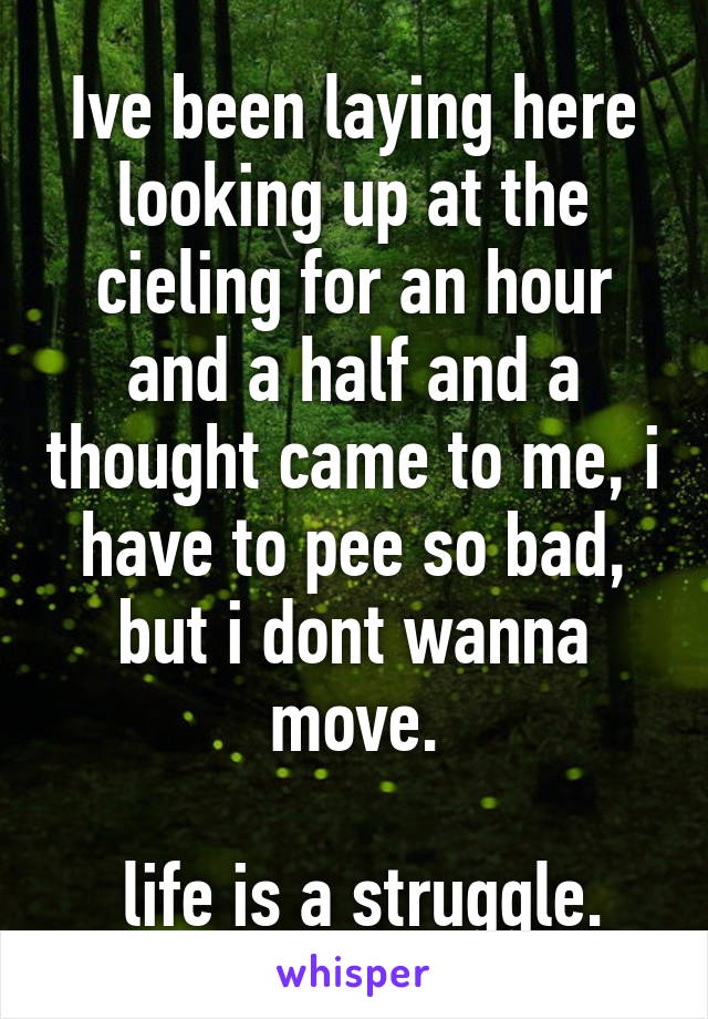 Ive been laying here looking up at the cieling for an hour and a half and a thought came to me, i have to pee so bad, but i dont wanna move.

 life is a struggle.