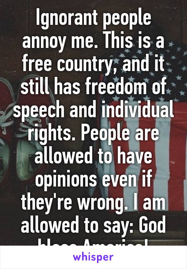 Ignorant people annoy me. This is a free country, and it still has freedom of speech and individual rights. People are allowed to have opinions even if they're wrong. I am allowed to say: God bless America!