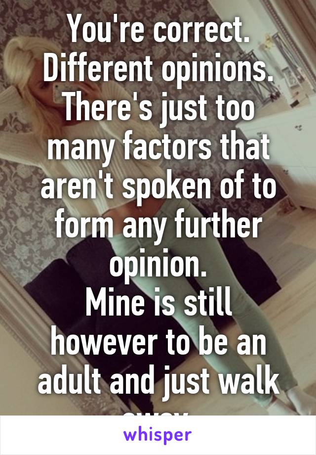 You're correct.
Different opinions.
There's just too many factors that aren't spoken of to form any further opinion.
Mine is still however to be an adult and just walk away.