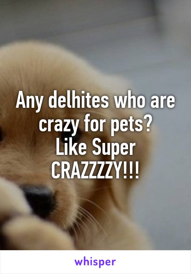 Any delhites who are crazy for pets?
Like Super CRAZZZZY!!!