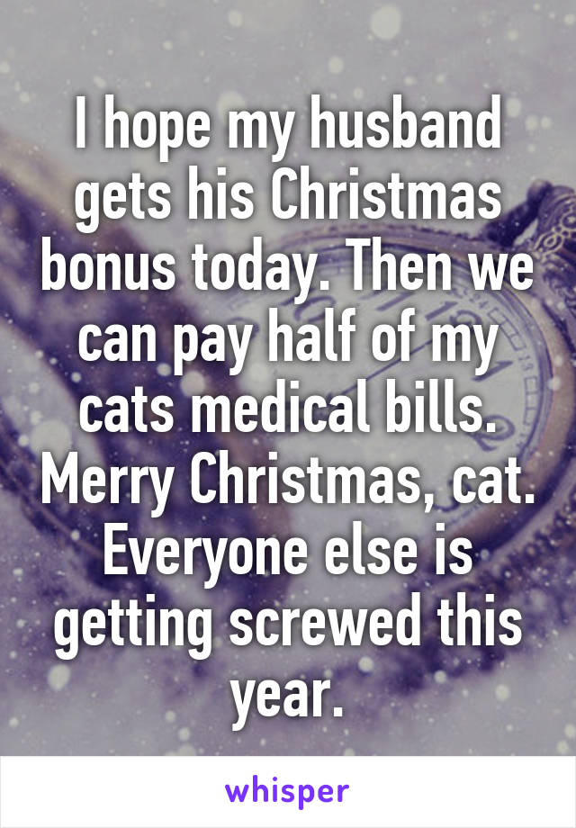 I hope my husband gets his Christmas bonus today. Then we can pay half of my cats medical bills. Merry Christmas, cat. Everyone else is getting screwed this year.