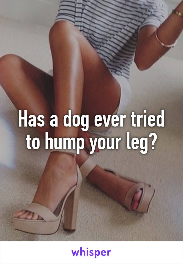 Has a dog ever tried to hump your leg?