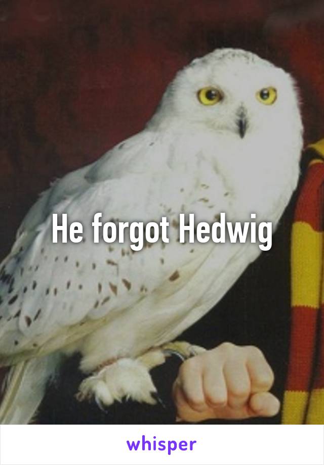 He forgot Hedwig