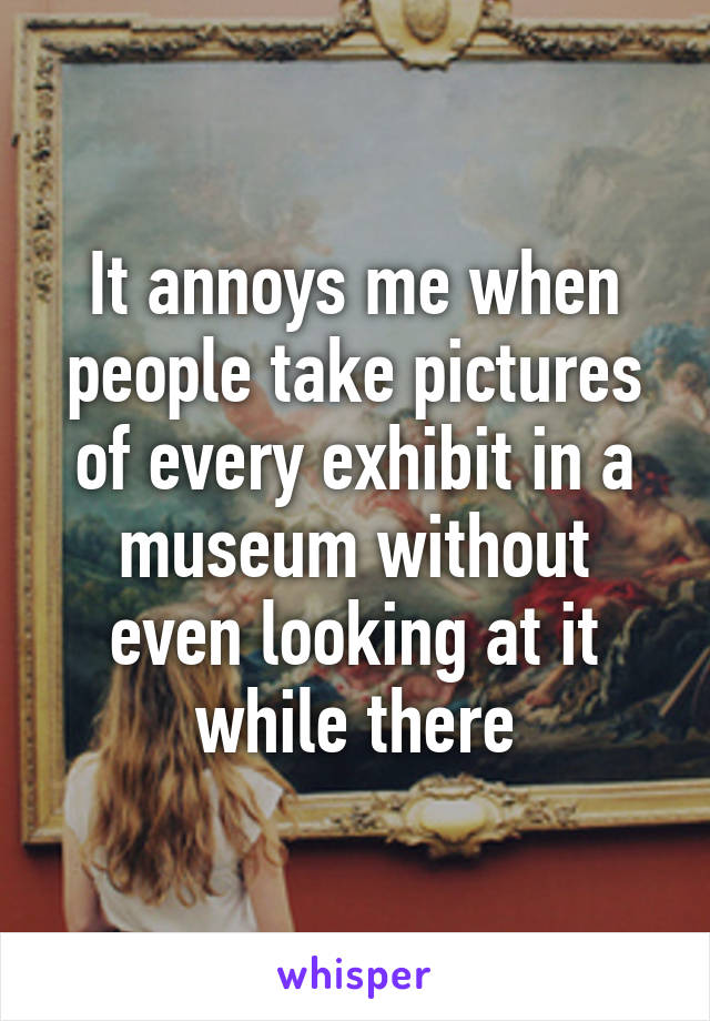 It annoys me when people take pictures of every exhibit in a museum without even looking at it while there