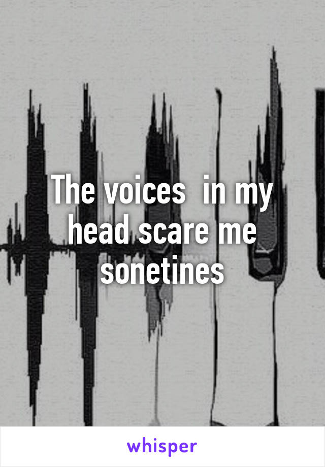 The voices  in my head scare me sonetines