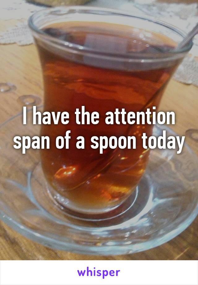 I have the attention span of a spoon today 