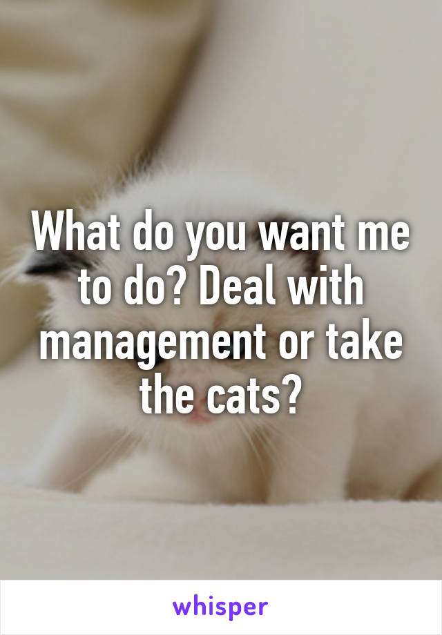 What do you want me to do? Deal with management or take the cats?