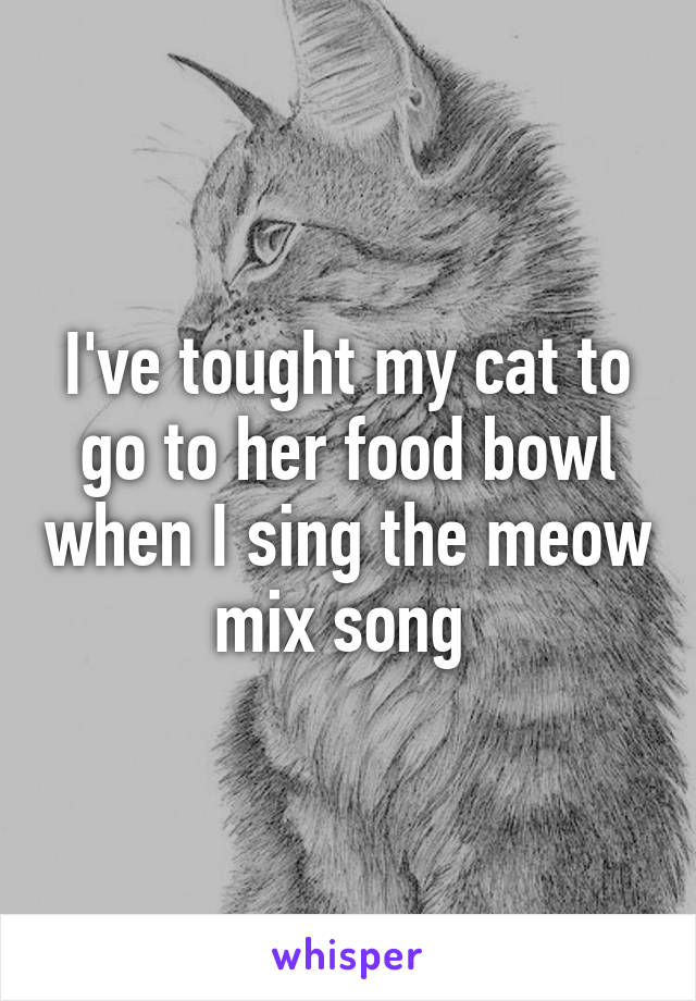 I've tought my cat to go to her food bowl when I sing the meow mix song 