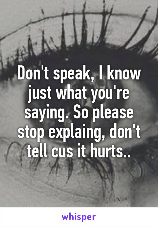 Don't speak, I know just what you're saying. So please stop explaing, don't tell cus it hurts..