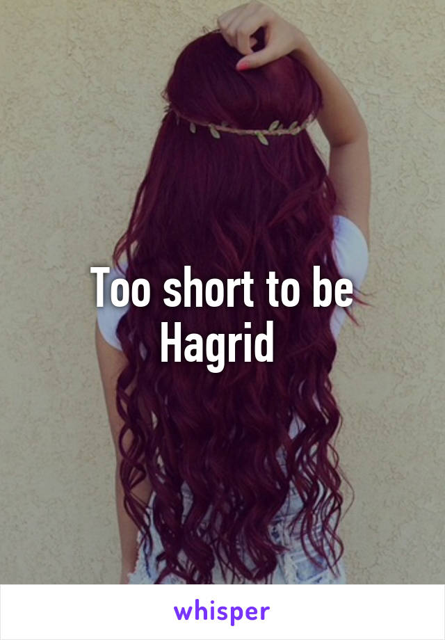 Too short to be Hagrid 