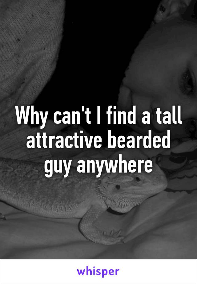 Why can't I find a tall attractive bearded guy anywhere