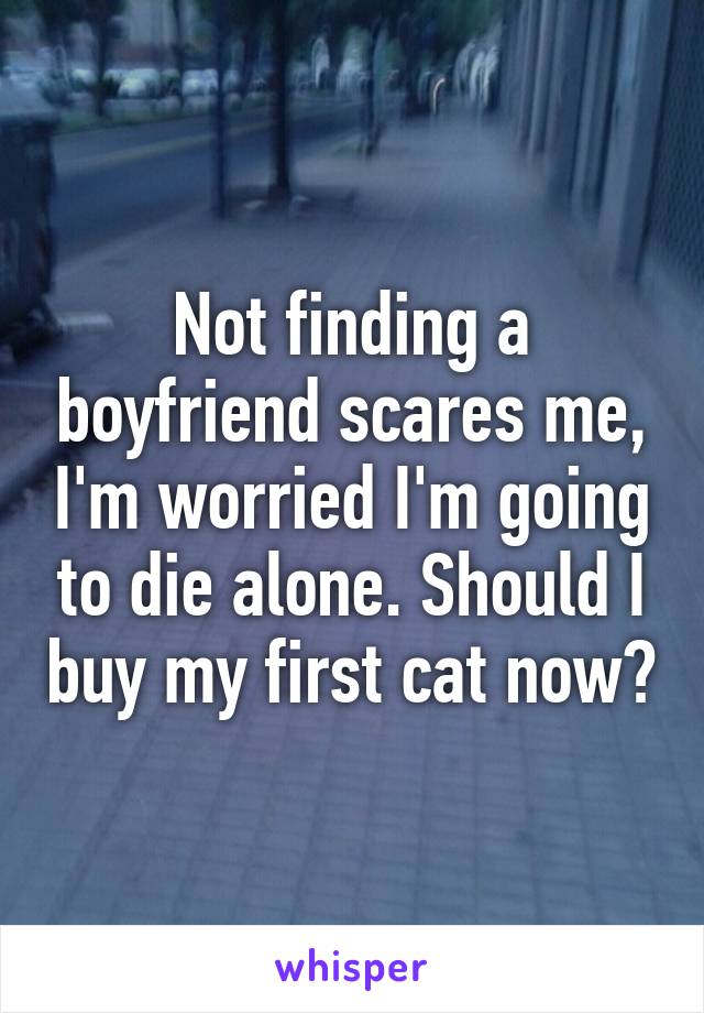 Not finding a boyfriend scares me, I'm worried I'm going to die alone. Should I buy my first cat now?