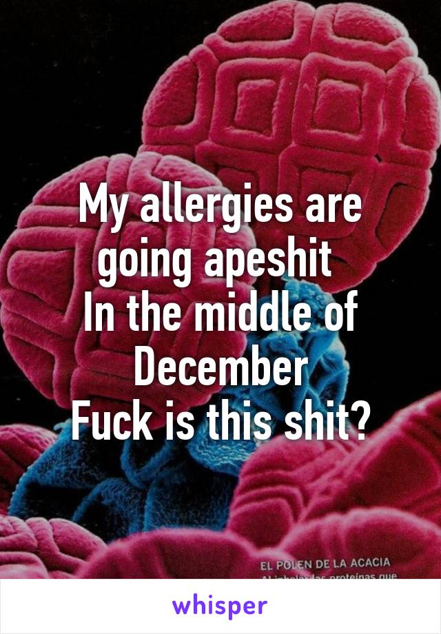 My allergies are going apeshit 
In the middle of December
Fuck is this shit?