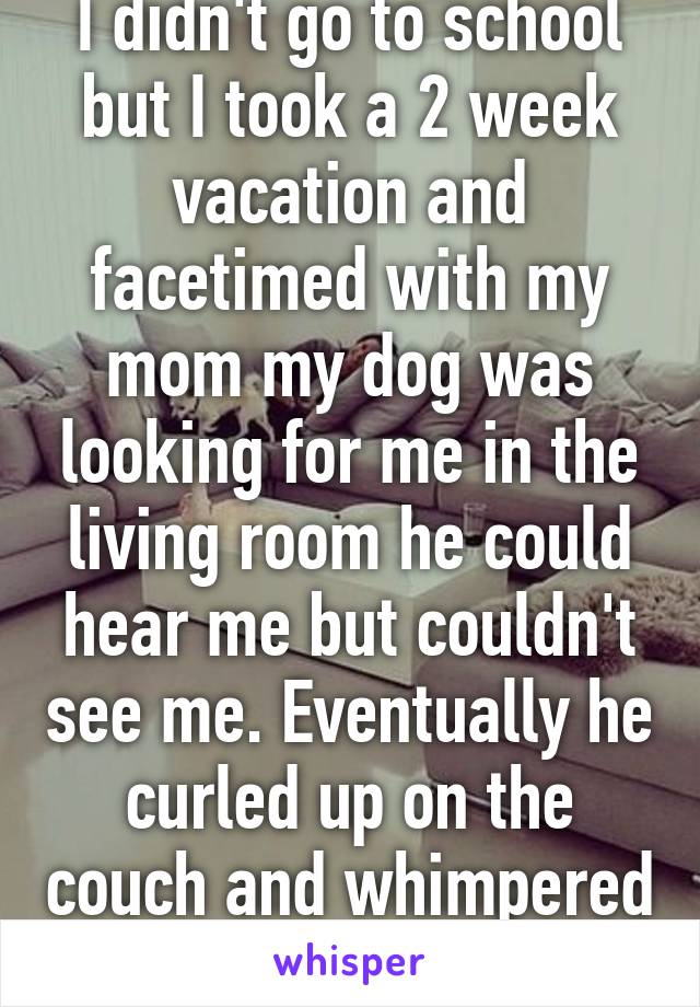 I didn't go to school but I took a 2 week vacation and facetimed with my mom my dog was looking for me in the living room he could hear me but couldn't see me. Eventually he curled up on the couch and whimpered 