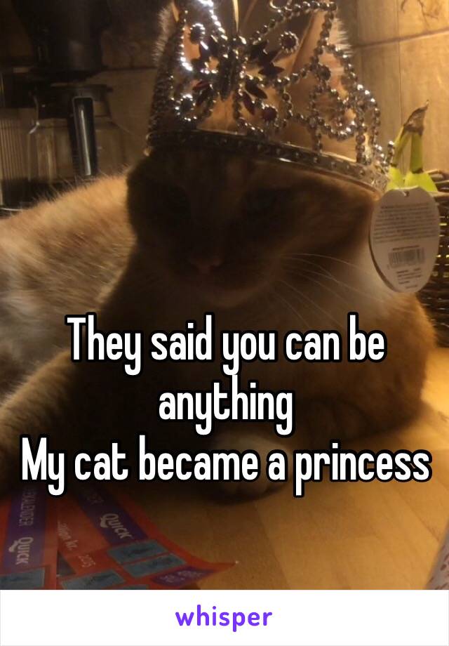 They said you can be anything 
My cat became a princess 