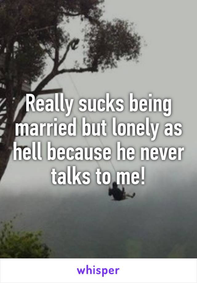 Really sucks being married but lonely as hell because he never talks to me!