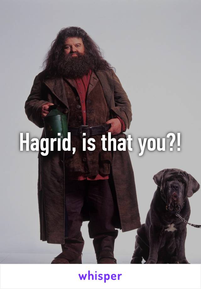 Hagrid, is that you?!