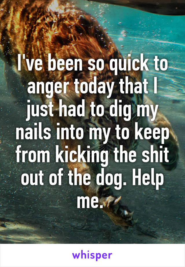 I've been so quick to anger today that I just had to dig my nails into my to keep from kicking the shit out of the dog. Help me. 